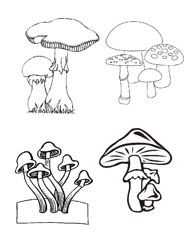 Plansa de colorat cu Toamna 123 28